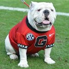 eric_burt@agilent.com